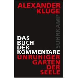 Das Buch der Kommentare, Belletristik von Alexander Kluge