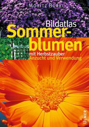 Moritz Bürki - Bildatlas Sommerblumen mit Herbstzauber: Anzucht und Verwendung - Preis vom 10.10.2026 11:48:34 h