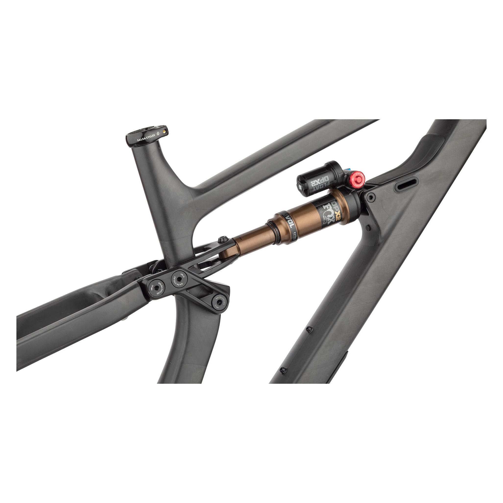 Salsa Blackthorn Carbon MTB Rahmen, 29", L, carbon raw (33090753)