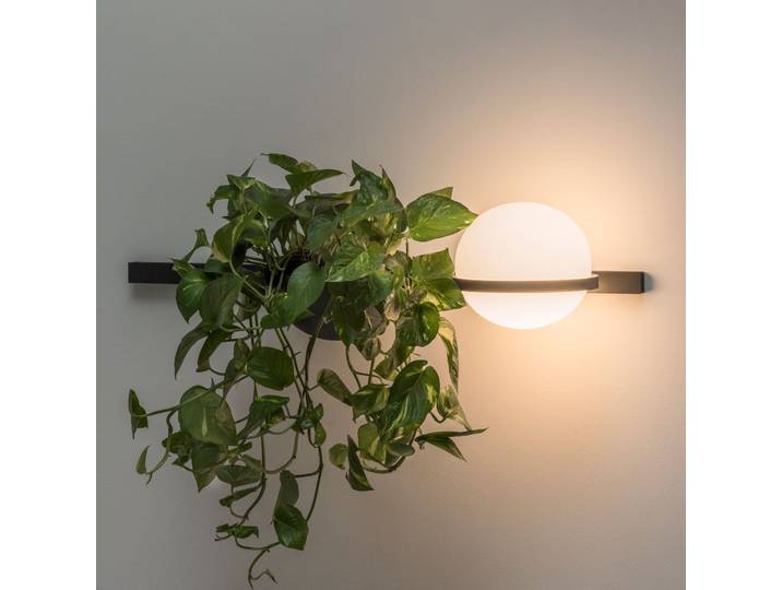 Palma 3702 Wandleuchte, Pflanzschale, grafit - Vibia - Wohnzimmer - Modern - Metall