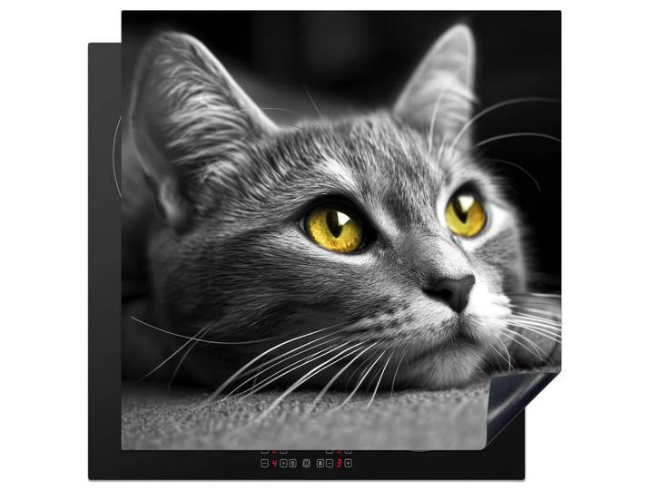 MuchoWow Herabdeckplatte - Katze - Grau - Tiere - Katze - 78x78, Kunststoff, Quadratisch, 78x78x0.2 cm, Geschirr, Tischkultur & Serviergeschirr, Servierplatten