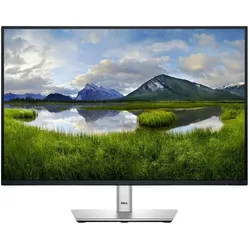 Dell P2425 (1920 x 1200 Pixel, 24.07"), Monitor, Schwarz, Grau