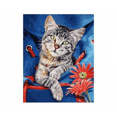 Katze im Rucksack