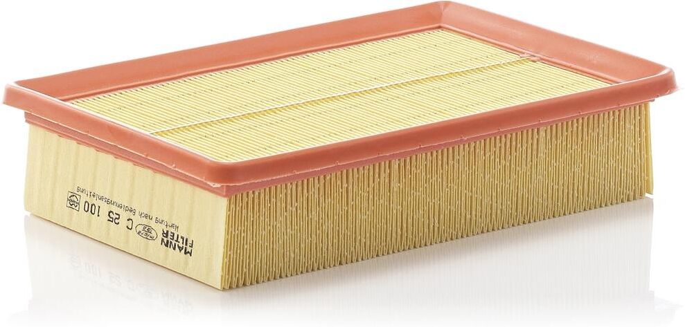 MANN-FILTER C 25 100 Air filter