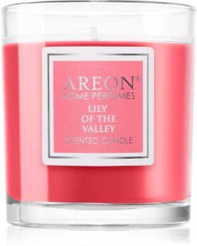Areon Home Perfumes Lily of the Valley vela perfumada 120 g. Home Perfumes Lily of the Valley
