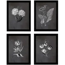 POSTER Set mit 4 botanischen Schwarz Tulpen Regenbogen A3 Rahmenlos