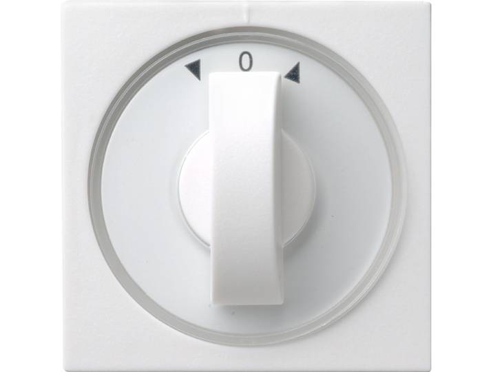 Gira Systeem 55 Schakelelement/Centrale Plaat - 066627 - E29EG