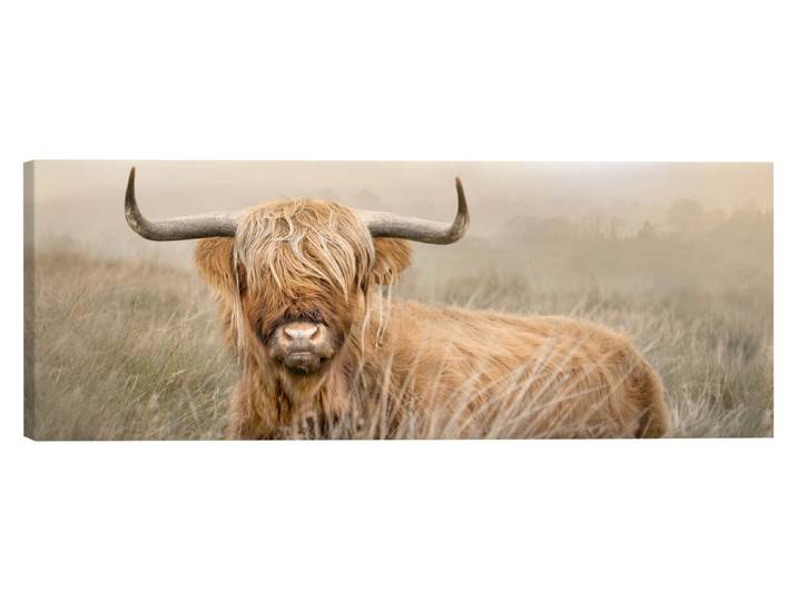 Wandbild 57x150 Highlander Nature