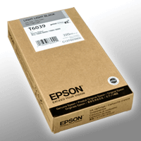 Epson Tinte C13T603900 light light black T6039