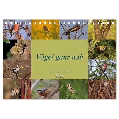 Vögel ganz nah (Tischkalender 2026 DIN A5 quer), CALVENDO Monatskalender