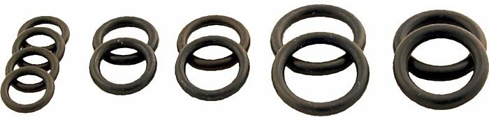 Wolf O-Ring-Set Hydraulikgruppe 8612385 für CGG