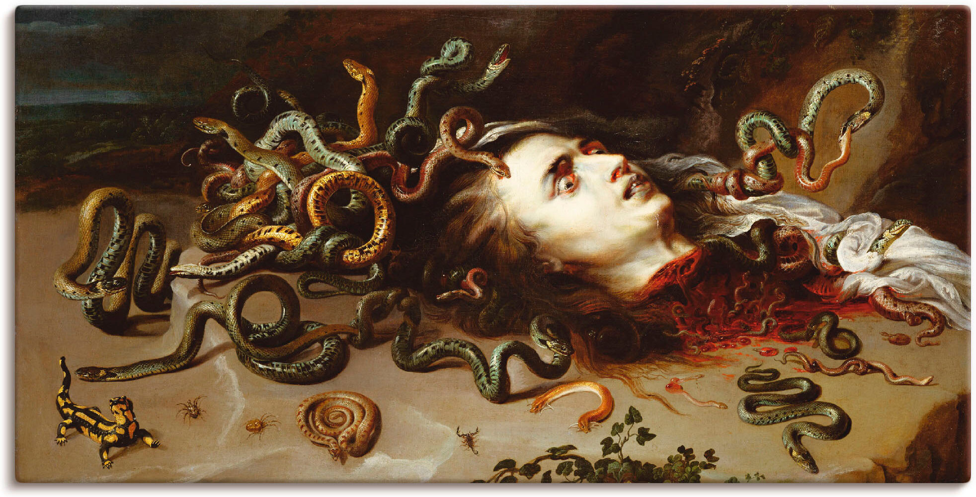 Wandbild ARTLAND "Das Haupt der Medusa", grau (farbe bild(er): grau), B:60cm H:30cm, Bilder, Wandbild, als Leinwandbild, Poster in verschied. Grössen farbe bild(er): grau B/H/T: 60cm x 30cm, Leinwandbild klassische Fantasie Querformat, 1 Stk.