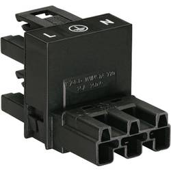 WAGO Netz-H-Verteiler Netz-Stecker - Netz-Buchse, Netz-Buchse Gesamtpolzahl: 2 + PE Schwarz 1 St. 770-636