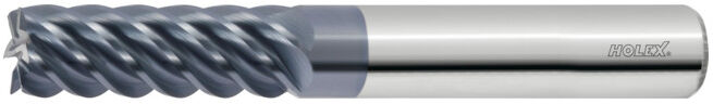 HOLEX Fraise carbure monobloc 5 mm (203610 5)
