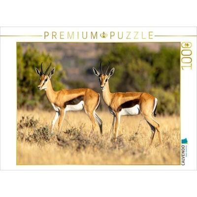 CALVENDO Puzzle Springbock Antilopen in der Savanne | 1000 Teile Lege-Größe 64x48cm Foto-Puzzle für glückliche Stunden