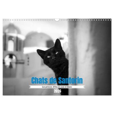 Chats de Santorin - Les princes d'Oia en noir et blanc (Calendrier mural 2026 DIN A3 vertical), CALVENDO calendrier mensuel