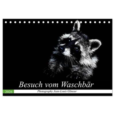 Besuch vom Waschbär (Tischkalender 2026 DIN A5 quer), CALVENDO Monatskalender
