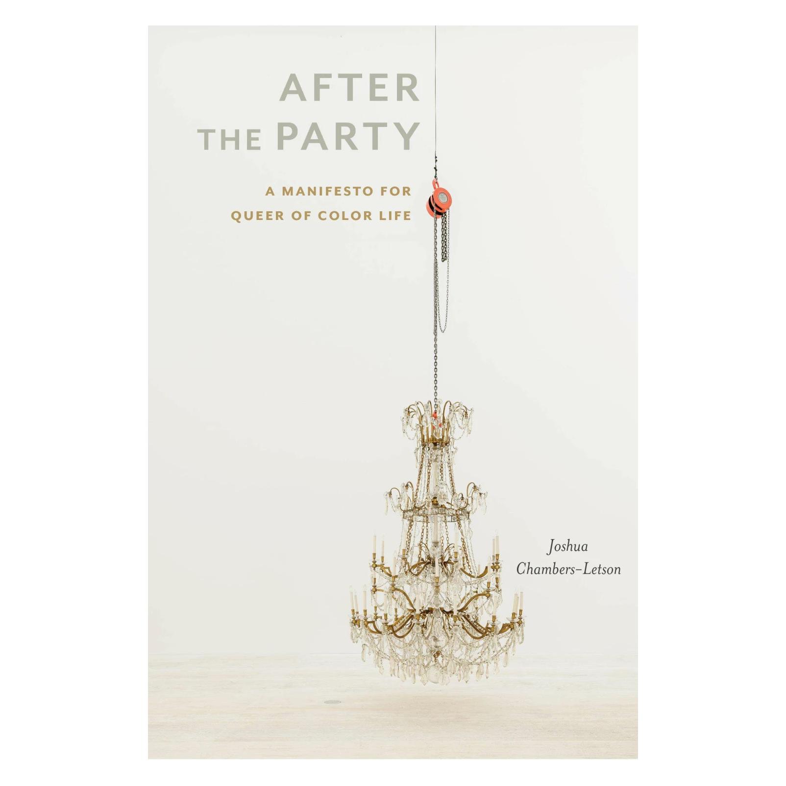 New York University After the Party (Englisch, Joshua Chambers-Letson) (47450492)