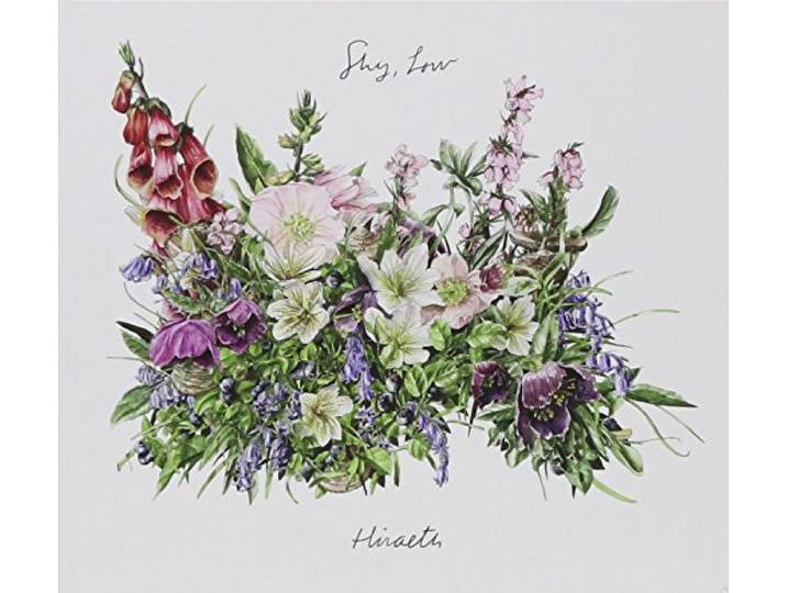 Low Shy - Hiraeth