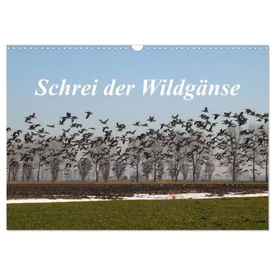 Schrei der Wildgänse (Wandkalender 2027 DIN A3 quer), CALVENDO Monatskalender