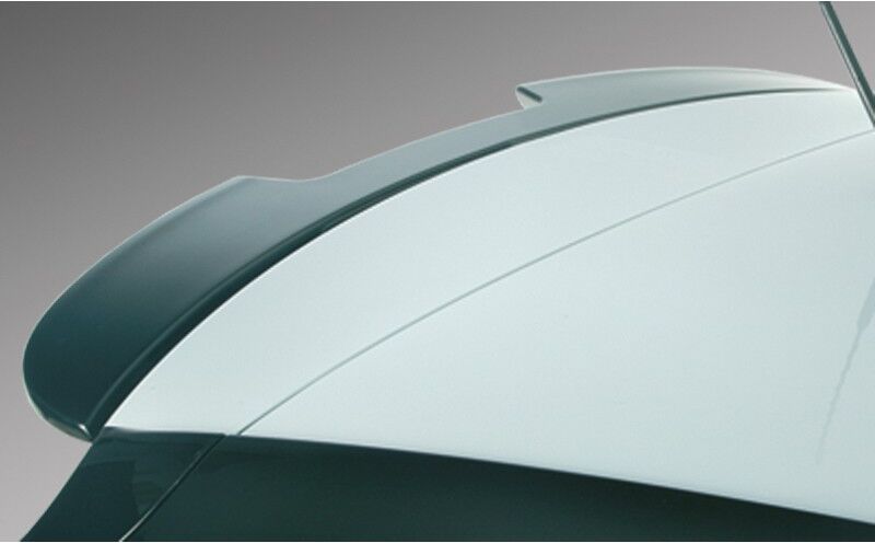 RDX Racedesign RDDS051 Heckspoiler