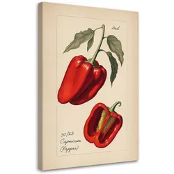WANDBILD weinlese gemüse paprika
