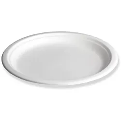 500x Teller, rund, Bagasse, 23 cm
