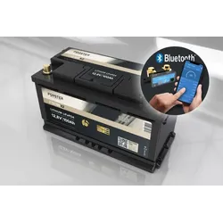 FORSTER 100Ah 12,8V LiFePO4 Premium Untersitz Batterie |... - 0% MwST. (Angebot gemäß §12 USt Gesetz.)