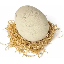Spin Master Interactive Hatching Dino