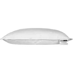 3-KAMMER-KISSEN Daunen mit Federkern 48/74 cm