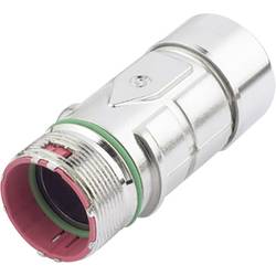 EPIC® SIGNAL M23 F6 Kabeldose 72064230 72064230 Rot LAPP Inhalt: 5 St.
