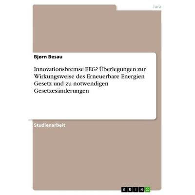 Innovationsbremse EEG? Überlegungen zur Wirkungsweise des Erneuerbare Energien Gesetz und zu notwendigen Gesetzesänderungen, Taschenbuch von Bjørn