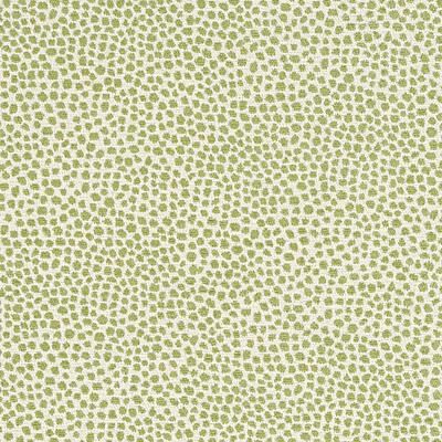 Tully Pear Fabric by the Yard - Ballard Designs