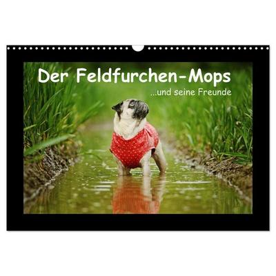 Der Feldfurchen-Mops (Wandkalender 2027 DIN A3 quer), CALVENDO Monatskalender