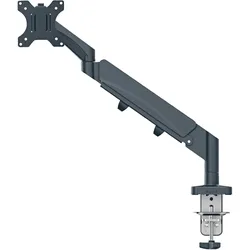 Leitz Ergo Single Monitorarm (Tisch, 32", 9 kg), Monitor Halterung, Grau