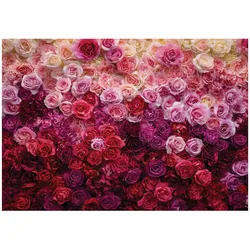 FOTOTAPETE Blumen Rosen Rosa 250x175 cm