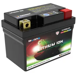 Skyrich LiFePO4 Batterie wartungsfrei
