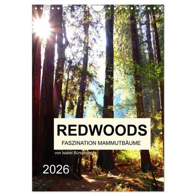 Redwoods - Faszination Mammutbäume (Wandkalender 2026 DIN A4 hoch), CALVENDO Monatskalender