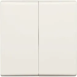 Busch-Jaeger Wippe ws 2105-32