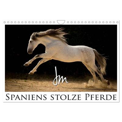 Spaniens stolze Pferde (Wandkalender 2026 DIN A4 quer), CALVENDO Monatskalender