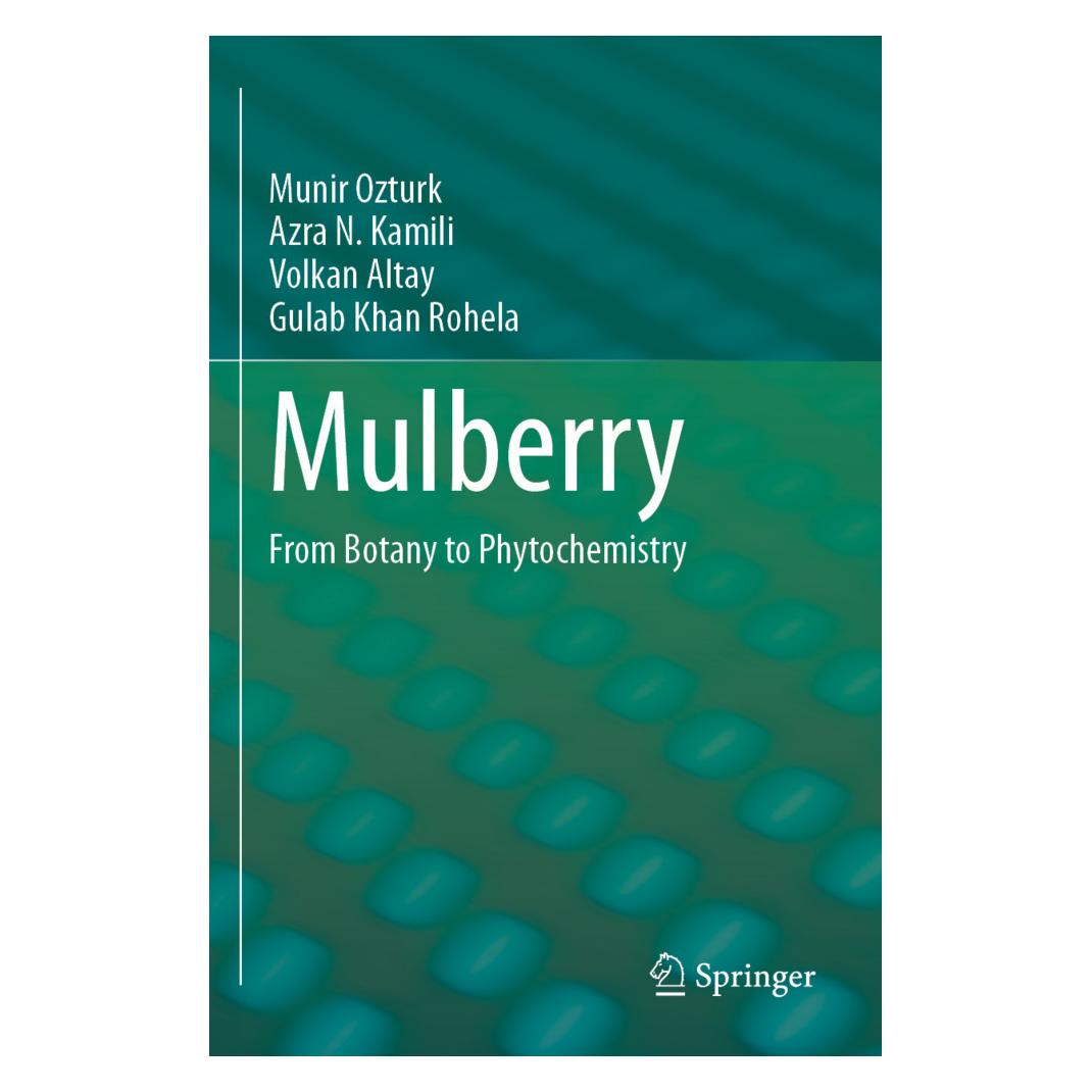Springer Mulberry (Englisch, Softcover, Azra N. Kamili, Gulab Khan Rohela, Munir Ozturk, Volkan Altay) (57181009)