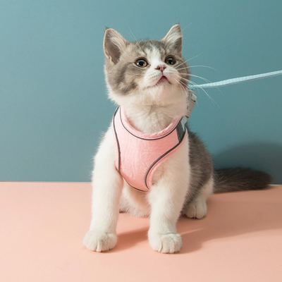 PetsAreLife Luminous Escape Proof Cat Harness Pink M