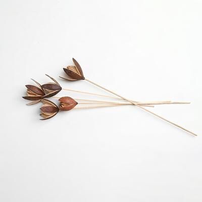 BIDKhome Lily On Stem 30pc Tray