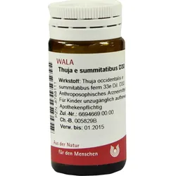 Thuja E Summitatibus D30 20 G