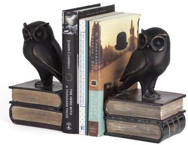 Danya B. Owl on Books Bookend Set