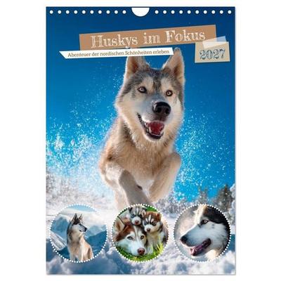 Huskys im Fokus (Wandkalender 2027 DIN A4 hoch), CALVENDO Monatskalender