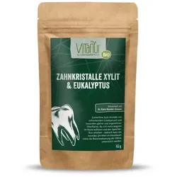 Lebenskraftpur Zahnkristalle Xylit & Eukalyptus (40St)