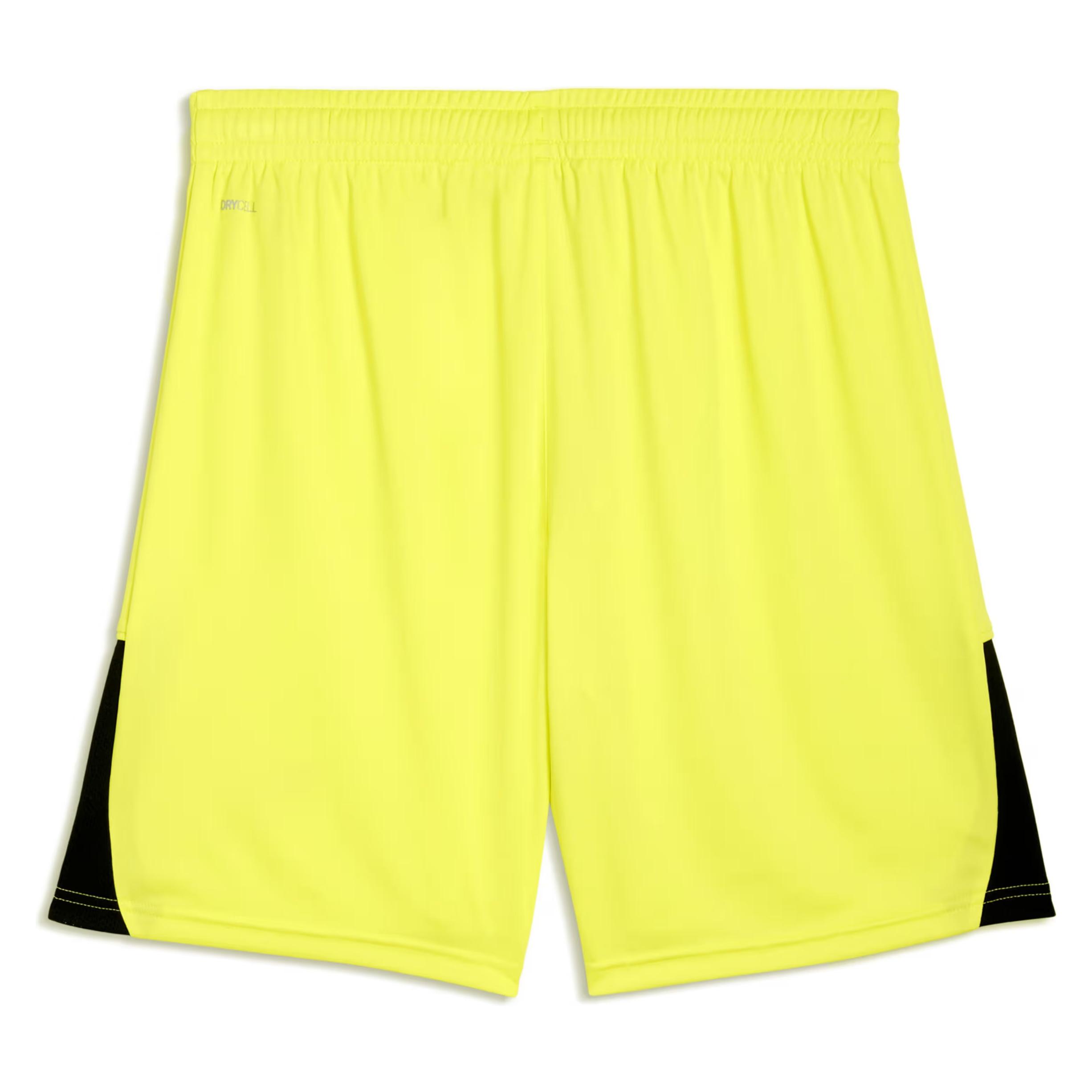 Puma teamLIGA26 Shorts (XXL) (706554)