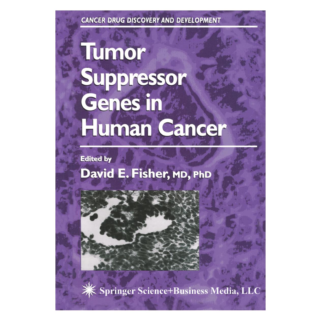 Springer Tumor Suppressor Genes in Human Cancer (Englisch, Softcover, David E. Fisher) (55382512)