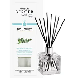 Maison Berger Paris Frischer Eukalyptus Raumduft Diffuser